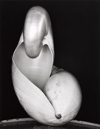 EDWARD WESTON (1886-1958)/COLE WESTON (1919-2003) Edward Weston Portfolio.